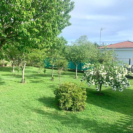 Апартаменты A Casa Vermella Con Jardin A 10 Minutos De Santiago De Compostela Ортонио Экстерьер фото
