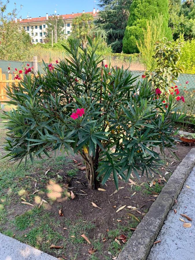 Апартаменты A Casa Vermella Con Jardin A 10 Minutos De Santiago De Compostela Ортонио Экстерьер фото